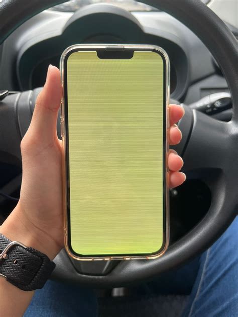 iphone 13 pro max display issues